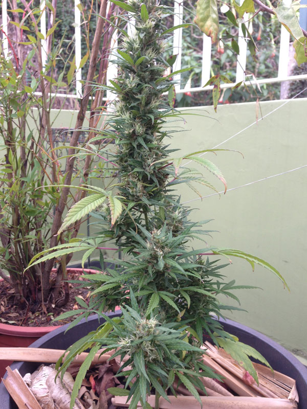 Outdoor - no name