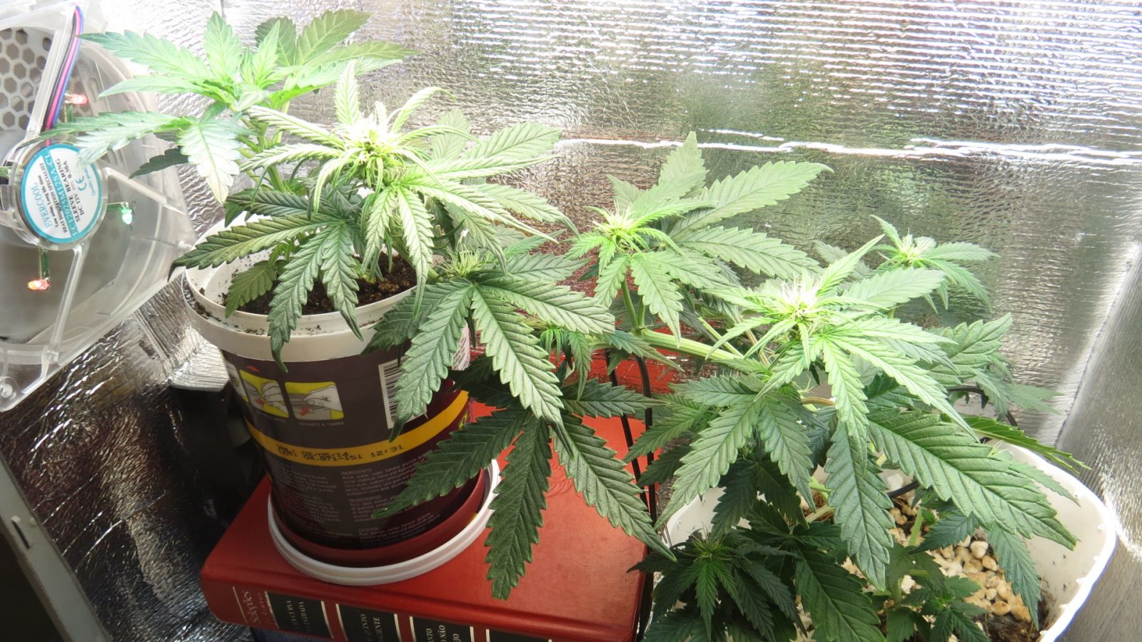 Primeiro Indoor PCGROW