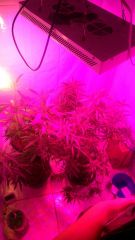 IMG 20150123 WA0005