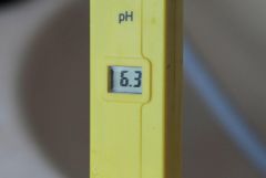 PM 4244