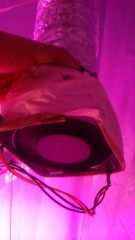 IMG 20150123 WA0003