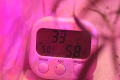 IMG 4378