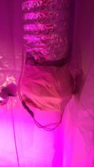 IMG 20150123 WA0001