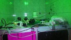 DSC 0454