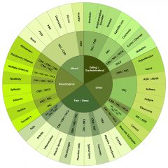 Cannabinoids Infographic (Update 02 27 14)