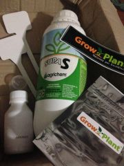 Encomenda Grow Plant