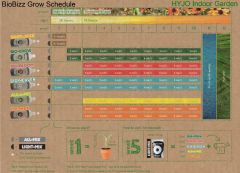 biobizz grow schedule