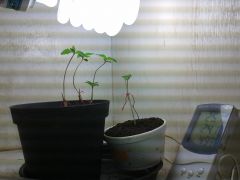 2014 09 11