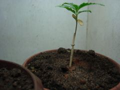 DSC09051