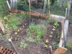 IMG 5793