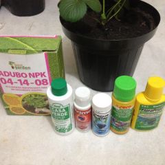 Produtos