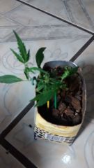IMG 20141014 191852356