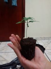 IMG 20141008 195740361