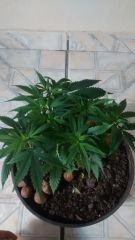IMG 20140831 174241981