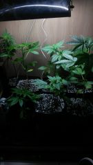IMG 20150614 WA0009