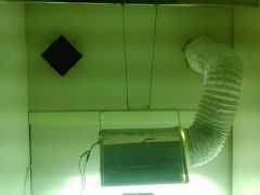DSC 0064