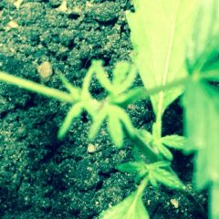 IMG 20140923 WA0015