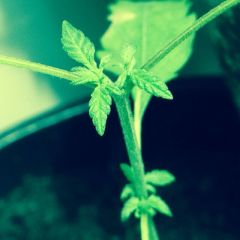 IMG 20140923 WA0016