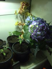 IMG 20140923 WA0017