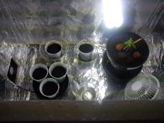 IMG 20140725 125528