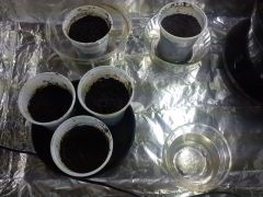 IMG 20140725 125523