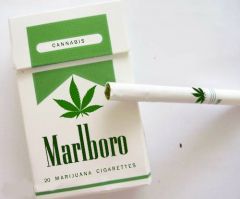 marlboro hemp