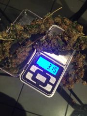 Half ounce