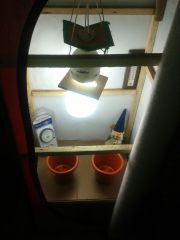 IMG 20150625 WA0001
