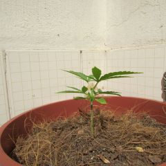 IMG 9157