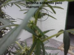 20 08 15 17