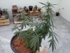 20 08 15 02