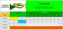 feeding schedule