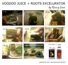 rooting excelurator And voodoo juice rotines By ricco Y locco