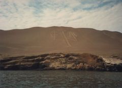 paracas 86