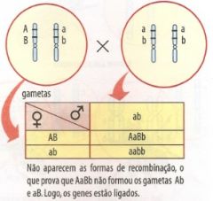 linkage3