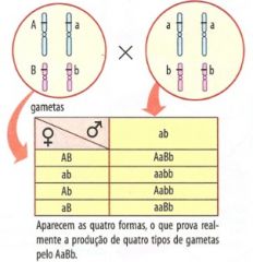 linkage2