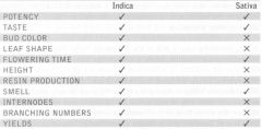 melhoramento - caracteristicas selecionadas indica sativa