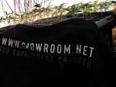 7-8-11 - Growroom, seu espaço para c r e s c e r !  !   !    !     !