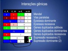 genetica genética cruzamentos heredograma esperado