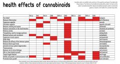 Cannabinoids guide img1 Tn