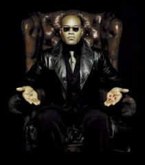 morpheus Red Or blue pill 264x300