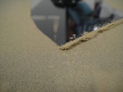 Kief