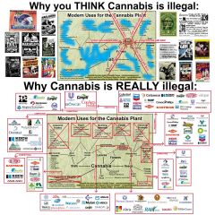 cannabisandcapitalism