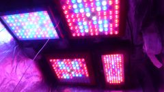 leds