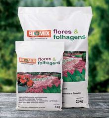 Sub flores folhagens