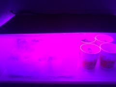 Estufa de clones e seedlings 1