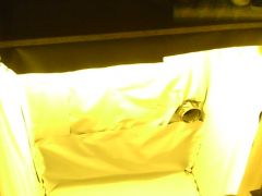 IMG0468A