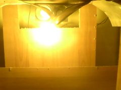 IMG0456A