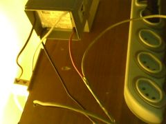 IMG0447A