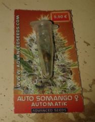 autosomango3